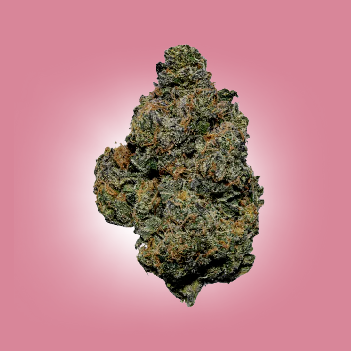 AAA Premium Exotic  Gelato