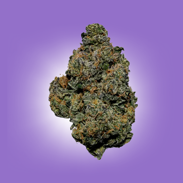 Top Shelf 1g Flower (20ct)