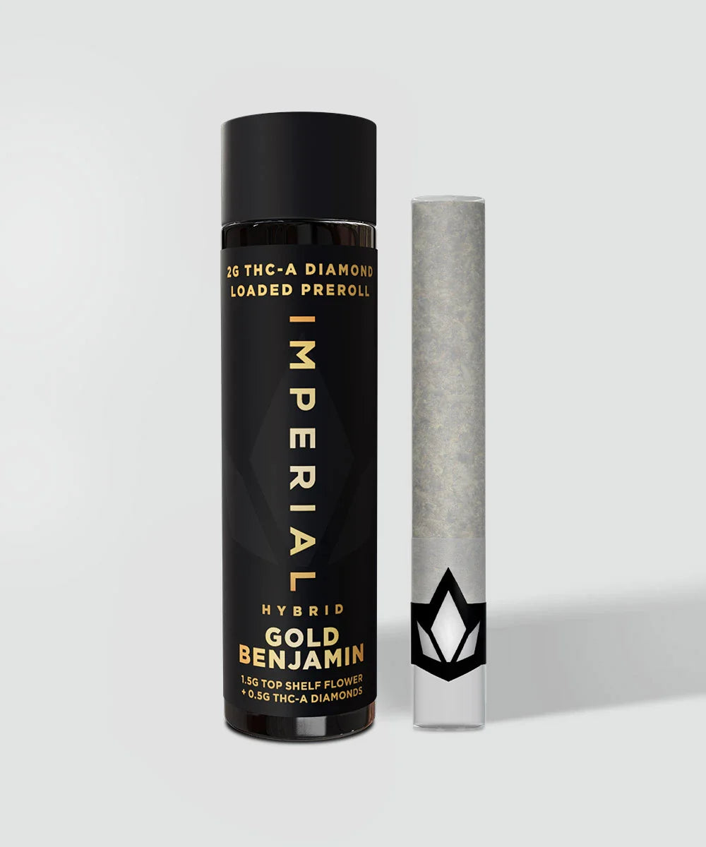 GOLD BENJAMIN 2G THCA LOADED PREROLLS